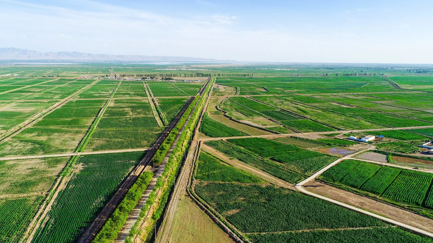 Aerial view of irrigation canal network showing multiple canal lining types across farmland