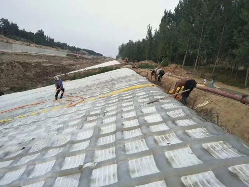 Finished canal lining section