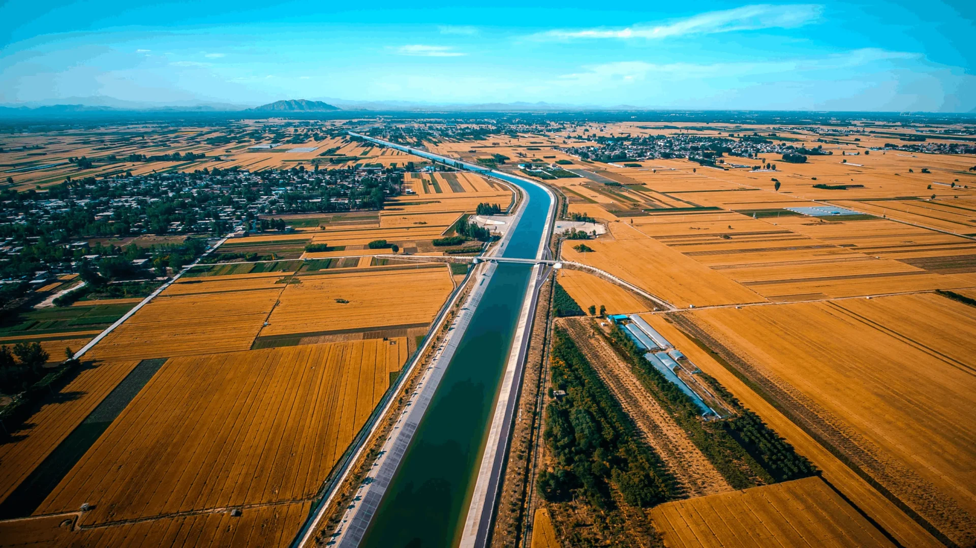 Irrigation canal through farmland showing potential seepage losses from unlined earthen channel